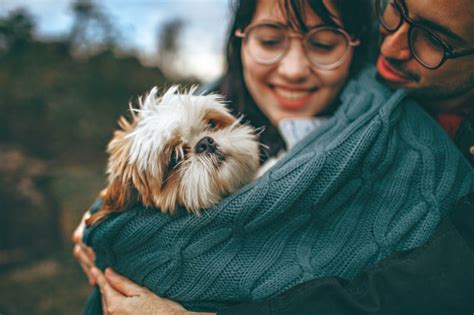 cute dog poses|models posing with dogs.